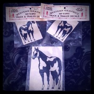 Paint Horse Truck / Trailer Graphics Decals